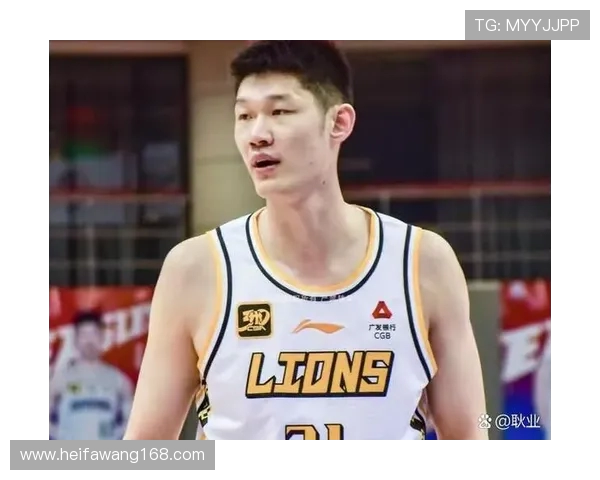 南京篮球队与北京篮球队的赛后复盘分析团队协作的关键因素与表现