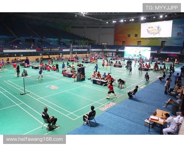 南京羽毛球队与深圳羽毛球队赛后心理素质对比分析与反思