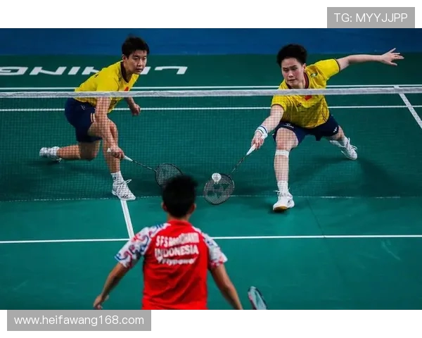 南京羽毛球队的转型之路与深度解析羽毛球运动的未来发展