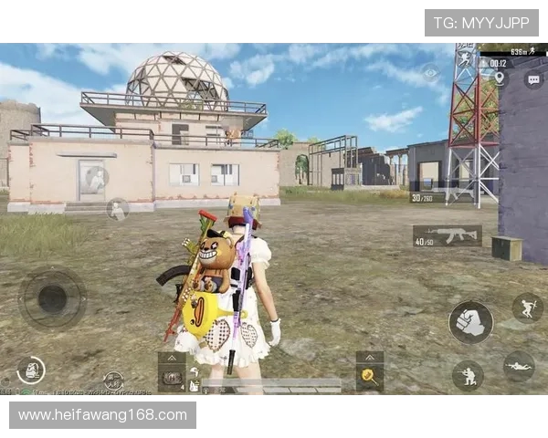 和平精英热议：WE团队协作引发的争议与反思