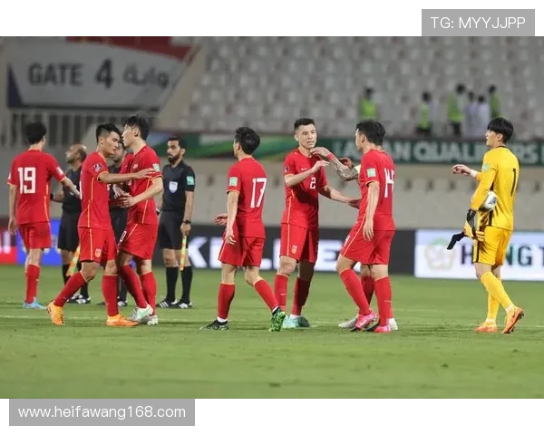 杭州足球队在世界杯预选赛中的技术表现分析与未来展望