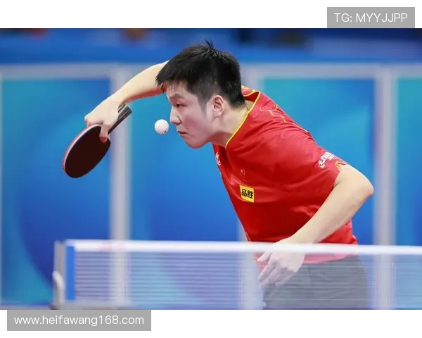 斯洛文尼亚与中国激战正酣绝杀瞬间引发热议与回忆 斯洛文尼亚与中国激战正酣绝杀瞬间引发热议与回忆