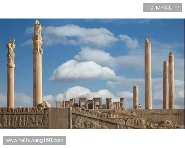 棉农与波斯波利的对比分析探讨农业与体育的相互影响与发展潜力