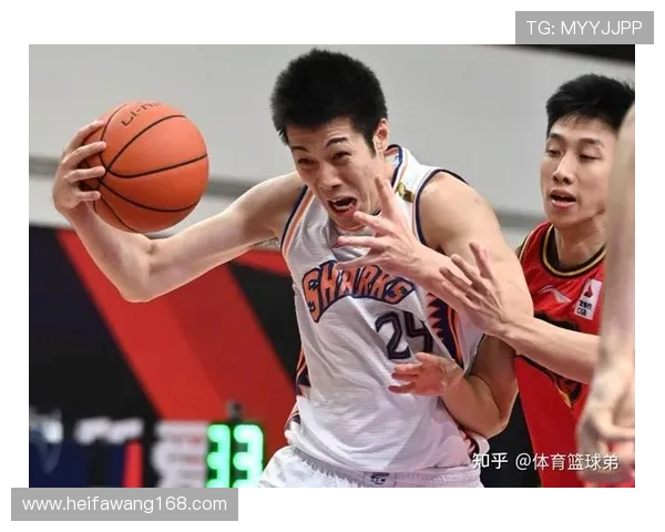 上海篮球队实力揭秘：从历史到未来的全景分析与展望