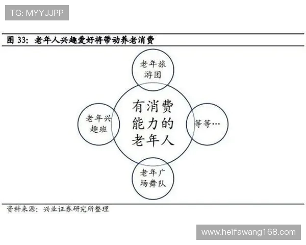 南京篮球队实力解析：聚焦球队发展与未来挑战的全景观察