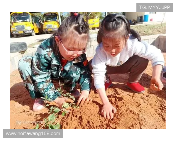 李丽畅谈英雄联盟职业生涯的酸甜苦辣与成长历程